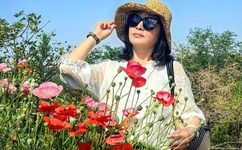 cheaperapp.work 浏览器.net